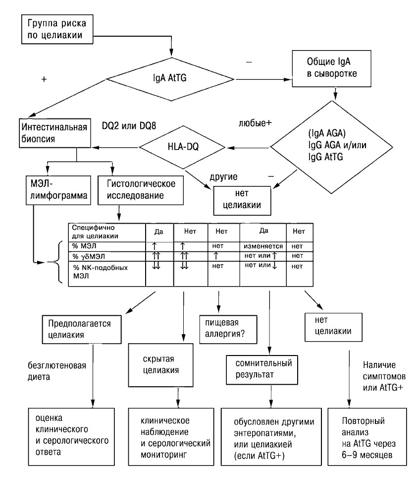 Новый алгоритм диагностики целиакии - Лабораторная медицина №5 - публикации  РАМЛД